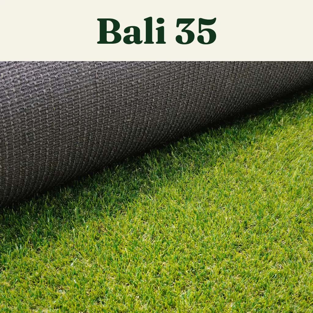 Pasto Bali 35