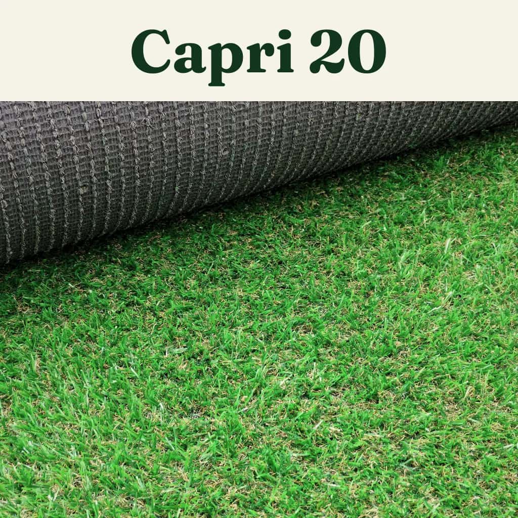 Pasto Capri 20