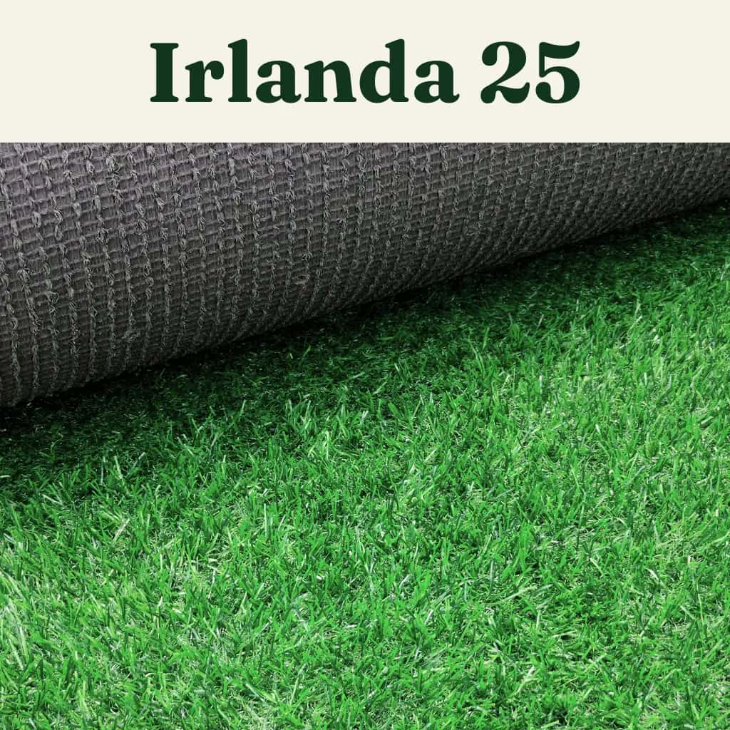 Pasto Irlanda 25
