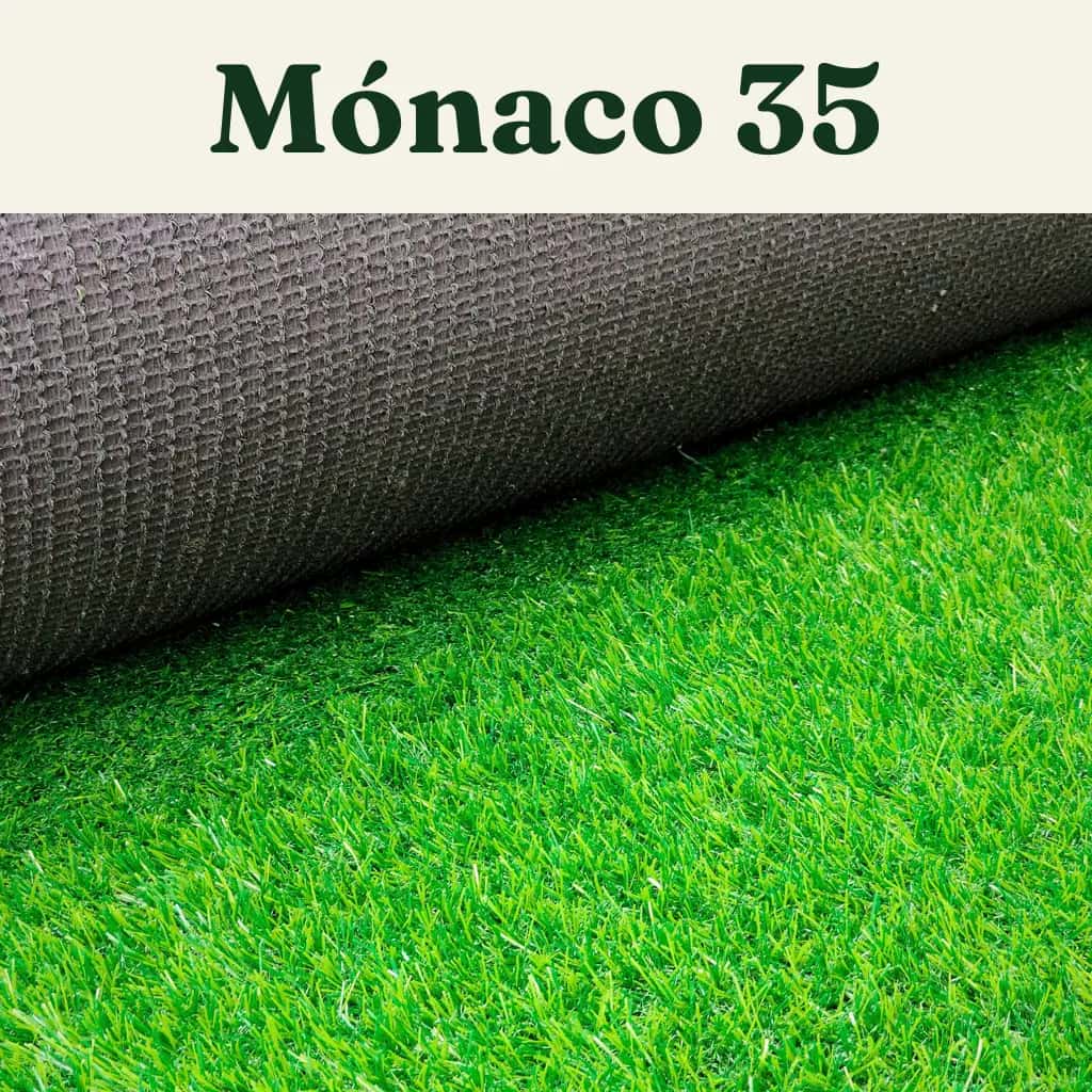 Pasto Mónaco 35