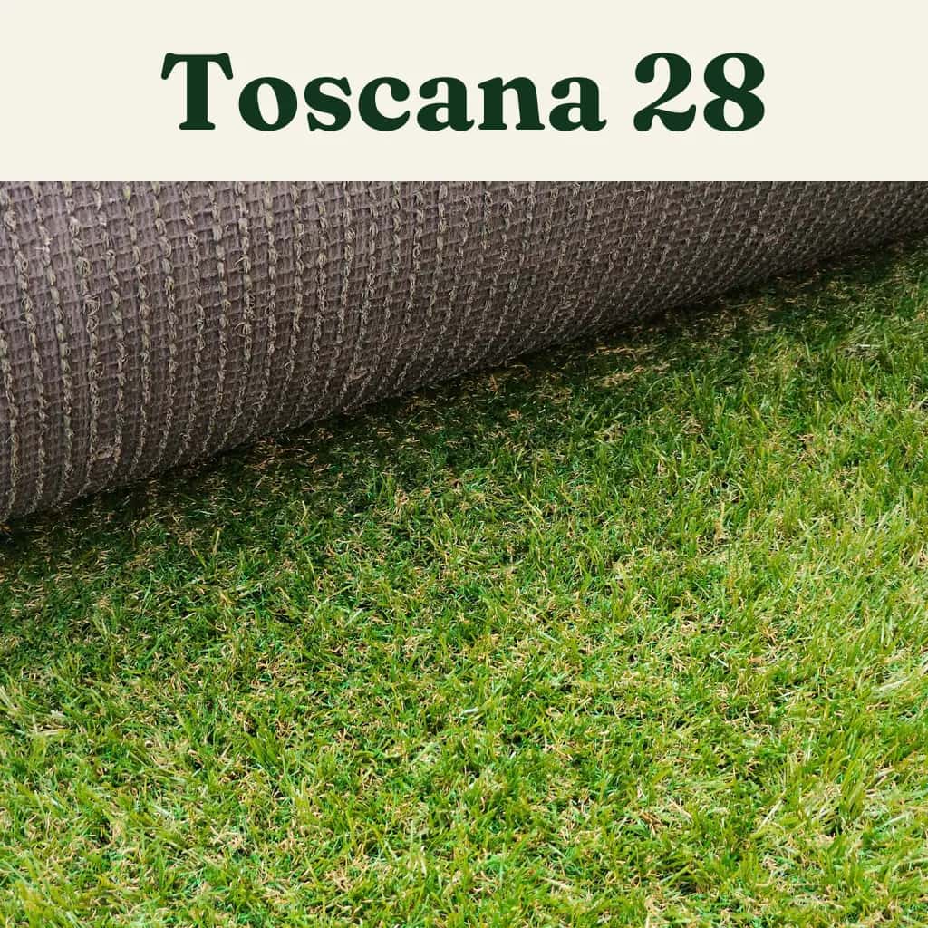 Pasto Toscana 28