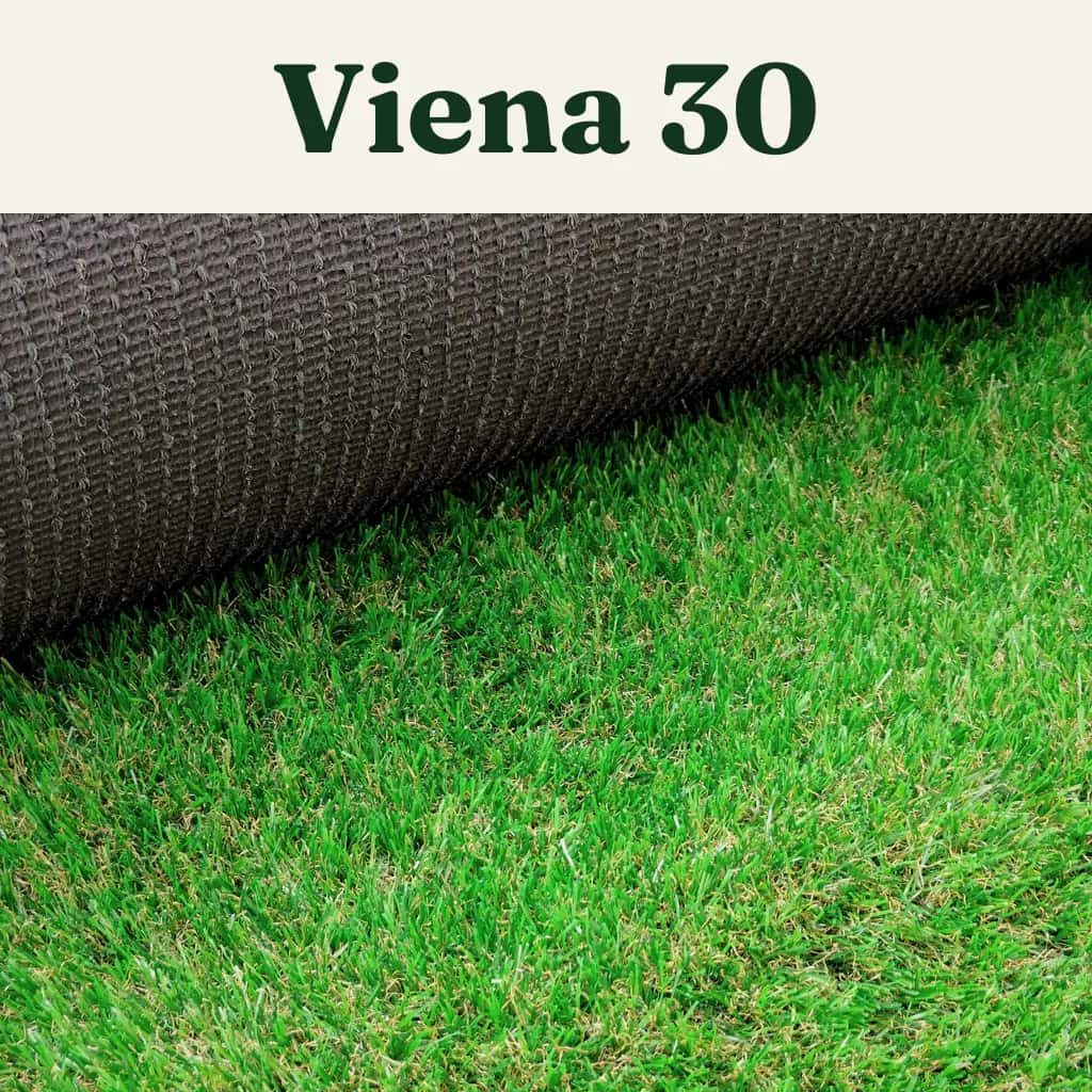 Pasto Viena 30